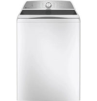 GE PTW605BSRWS image