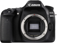 Canon 80D image