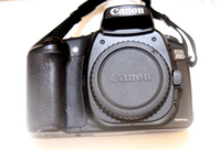 Canon 20D image