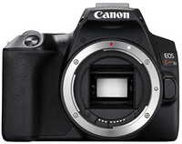 Canon EOSKISSX10 image