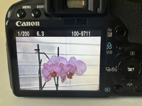 Canon Rebel XSi image