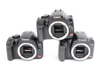 Canon XSi image