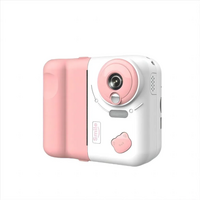 Generic PINKAPPPRINT image