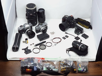 Nikon D600 image
