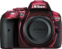 Nikon D5300 image