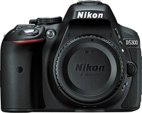 Nikon D5300 image