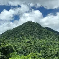 Nikon D3500 image