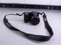 Nikon L820 image
