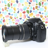Nikon SLR Digital image