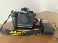 Nikon D1 image