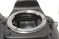 Nikon D80 image