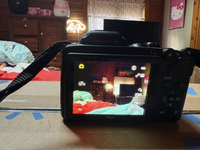 Nikon Coolpix l120 image