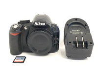 Nikon D3100 image