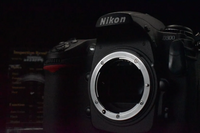 Nikon D300 image