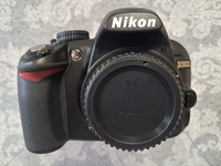 Nikon D3100 image