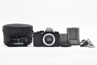 Olympus Om-d e-m10 image