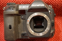 Olympus E-1 image