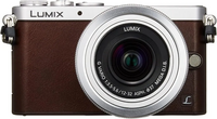 Panasonic GM1SK-T image