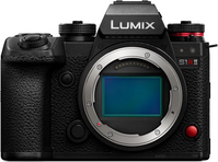 Panasonic LUMIX S1RII image