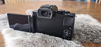 Panasonic Lumix G100 image