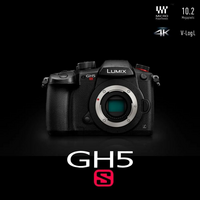 Panasonic GH5S image