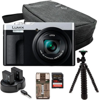 Panasonic ZS99 image