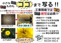 Ricoh WG 60 image