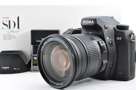 Sigma Sd1 merrill image