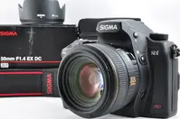 Sigma Sd1 merrill image