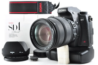 Sigma Sd1 merrill image