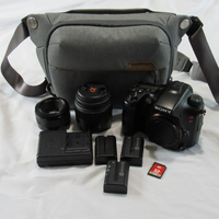 Sony A77 image