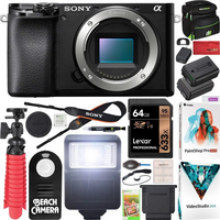 Sony A6100 image