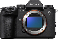 Sony Alpha 1 II image