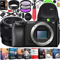 Sony Alpha 6100 (a6100 / Alpha a6100 / α6100) image