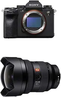 Sony Fe image