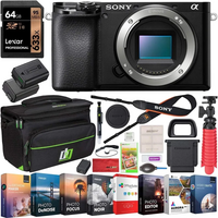 Sony Alpha 6100 (a6100 / Alpha a6100 / α6100) image