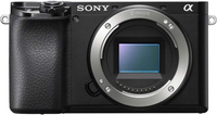 Sony 6100 image