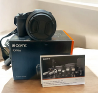 Sony RX10 image