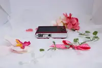 Sony DSC-W190 image