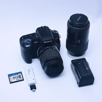 Sony 300 image