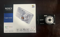 Sony W310 image