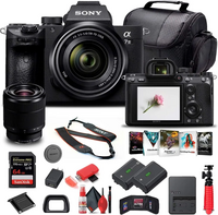 Sony Alpha 7 III (a7 III / Alpha a7 III / a7 III) image