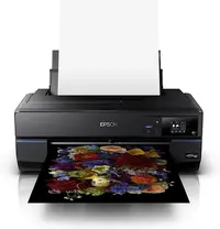 Epson P800 image