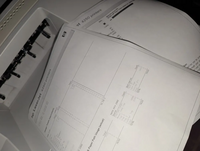 HP 4250 image