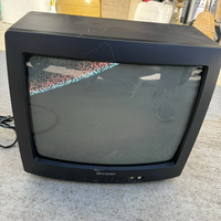 Sharp 13j-m100 image
