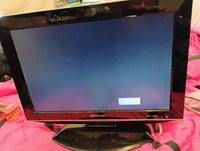 Sharp LC-19DV22U image