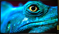 Sony X950h image