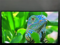 Sony BRAVIA image