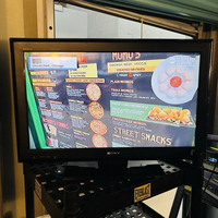 Sony KDL-19M4000 image