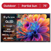 Sylvox Pool Pro 2.0 QLED image